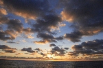 Click to see DSD_0187.JPG
