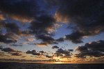 Click to see DSD_0190.JPG