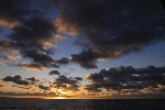 Click to see DSD_0191.JPG