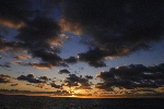 Click to see DSD_0192.JPG