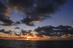 Click to see DSD_0196.JPG