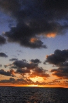 Click to see DSD_0197.JPG