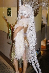 Click to see DSD_0281.JPG
