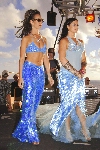 Click to see DSD_0434.JPG