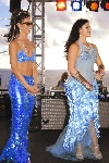 Click to see DSD_0445.JPG