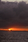 Click to see DSD_0468.JPG