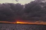Click to see DSD_0472.JPG