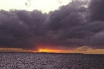 Click to see DSD_0473.JPG