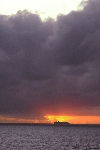 Click to see DSD_0474.JPG