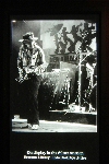 Click to see DSD_0508.JPG